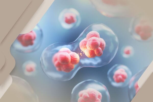 As células-tronco e a saúde ocular