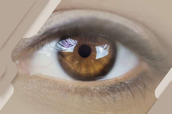 Curiosidades sobre o olho humano